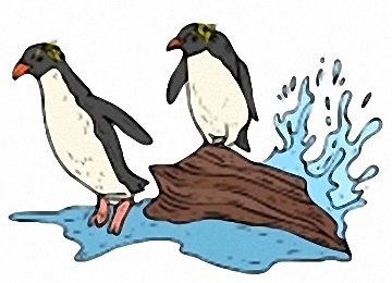 Pinguin Ausmalbilder Kostenlos