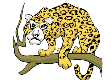 Leopard Bilder Zum Ausdrucken